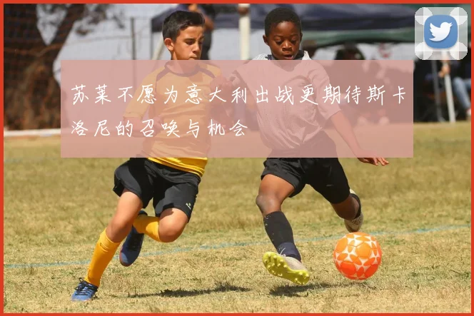 苏莱不愿为意大利出战更期待斯卡洛尼的召唤与机会