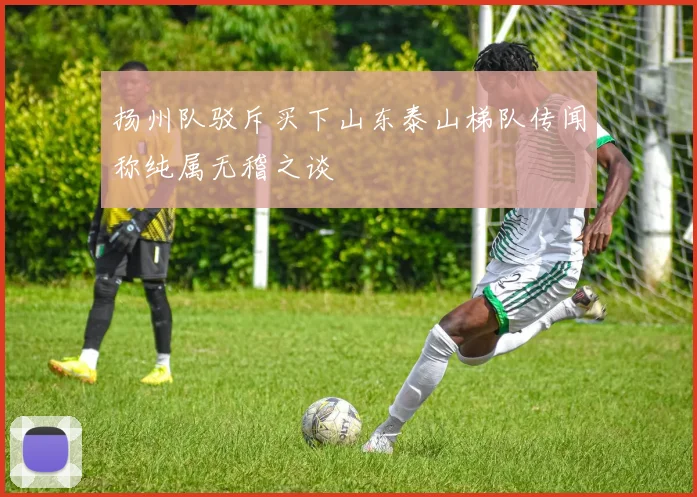 扬州队驳斥买下山东泰山梯队传闻称纯属无稽之谈